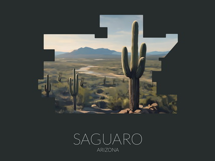 Saguaro National Park silhouette artwork illustration