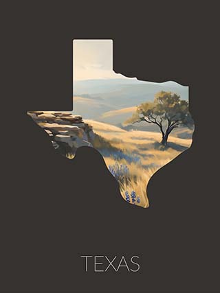 Texas state silhouette artwork illustration
