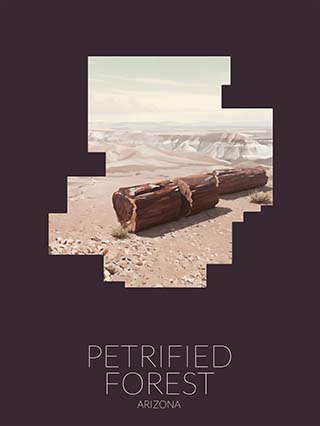 Petrified Forest National Park